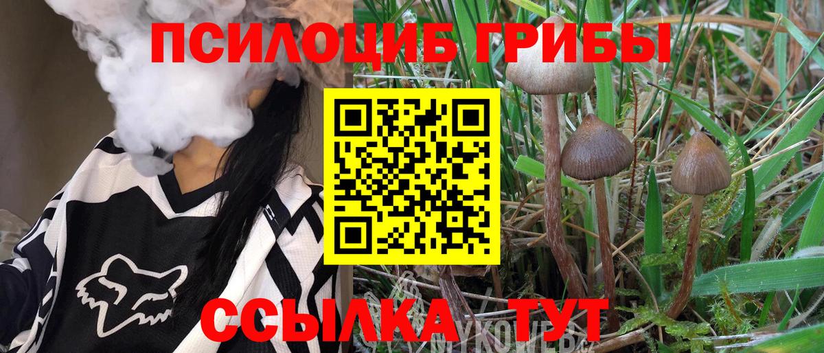 Галлюциногенные грибы мухоморы  Вход с VPN  Похвистнево  Псилоцибиновые грибы прущие грибы 